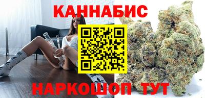 дмт Обь